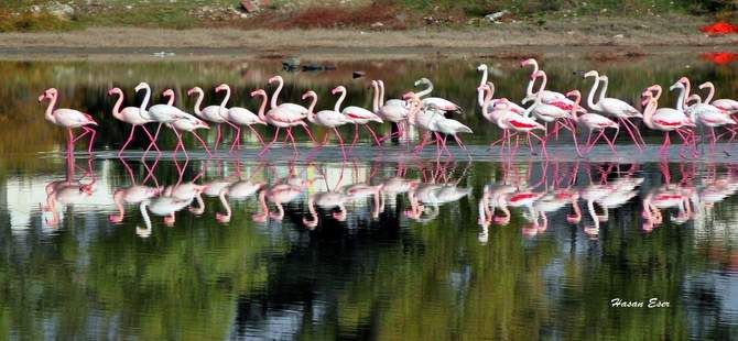 Hasan Eser'in Objektifinden
