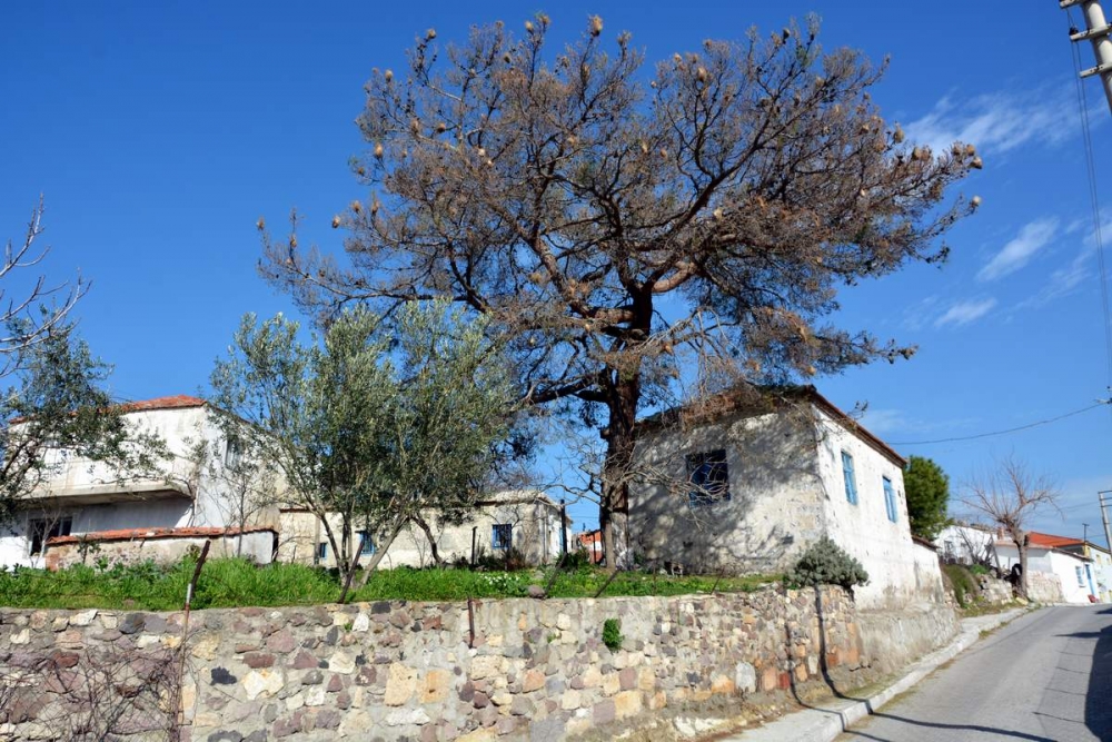 Güzelhisar Aliağa galerisi resim 28