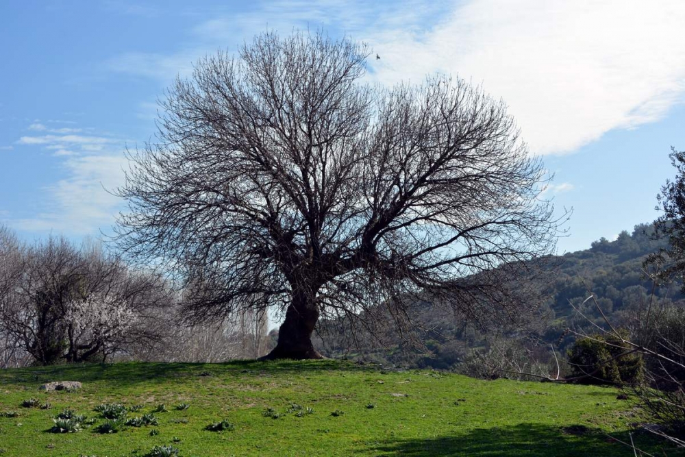 Güzelhisar Aliağa galerisi resim 5