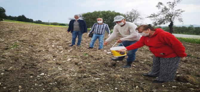 Aliağa’da Susam Çeşitleri Toprakla Buluşturuldu