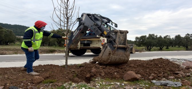 Aliağa Belediyesi’nden Bozköy’e 75 Adet Süs Armudu