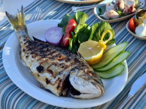 Balıkesir Su Ürünleri Fiyatları 22.08.2016