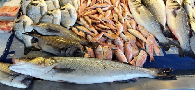 İzmir Su Ürünleri Fiyatları 07.09.2017