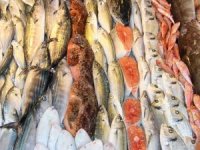 Balıkesir Su Ürünleri Fiyatları 23.10.2018