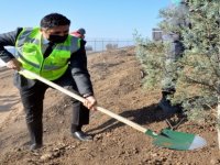 Aliağa’da Fidanlar Toprakla Buluştu