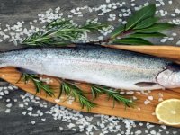 Karadeniz Somonuna Talep İkiye Katlandı