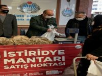 İstiridye Mantarlarının İlk Mahsulleri Satışa Sunuldu