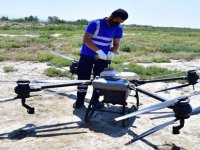 İzmir’de sivrisinek ile dronlu mücadele