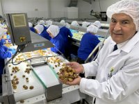 Türk organik sektörü, Çin’le iş birliklerini artırmak istiyor