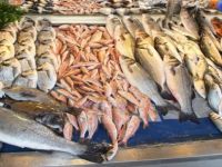 İspanya’da Türk Balığına Yoğun İlgi