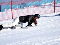 Ayşe Tolga'nın Snowboard'la İmtihanı