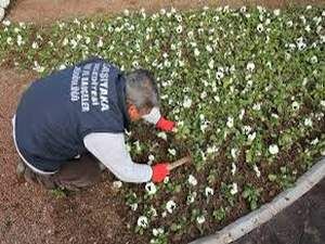 Bademler'in Çiçeği Karşıyaka'da Açacak