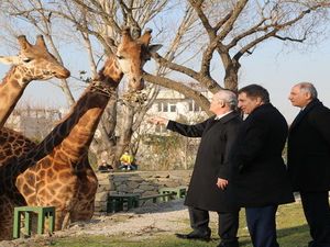 Suriye’ye Yakacak Ve Gıda Yardımı